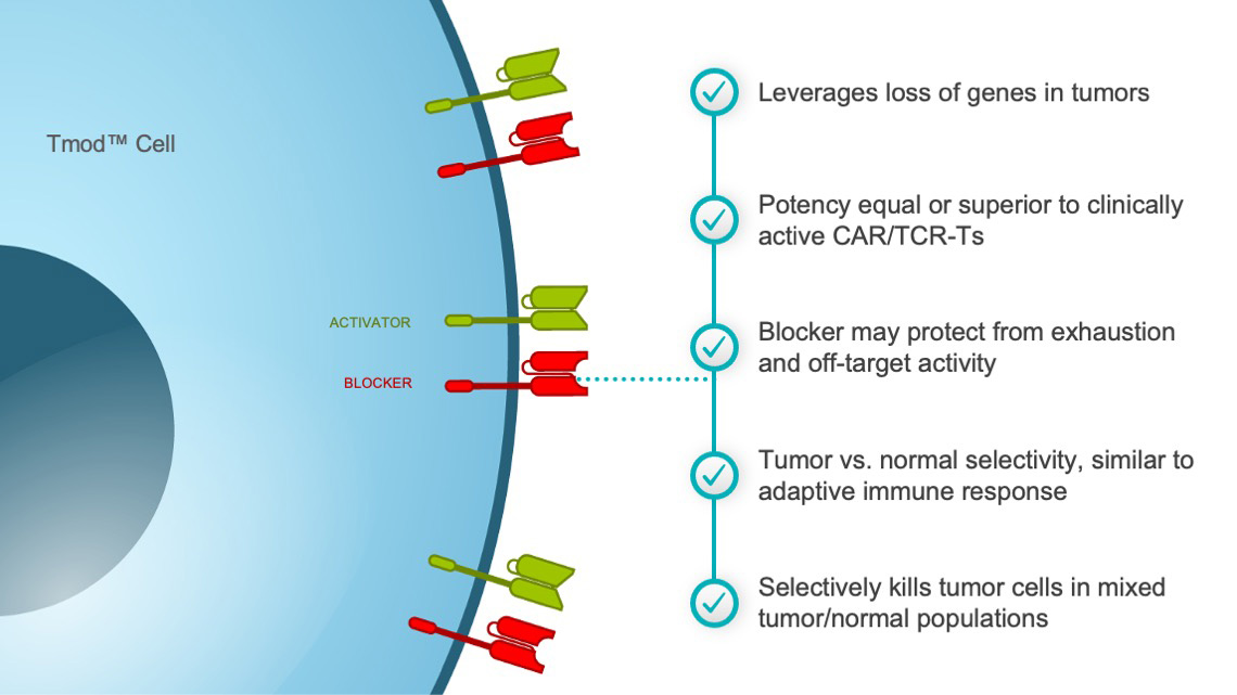 T-mod™ T cell with dual signaling